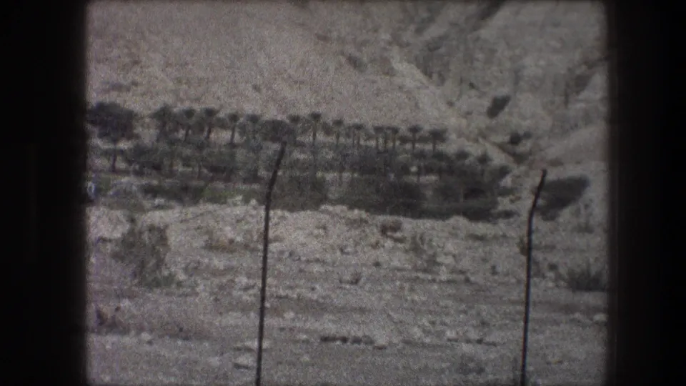 1976 8mm Bethlehem-area view of rocky terrain, distant palms or greenery, and wire fence posts near the camera.