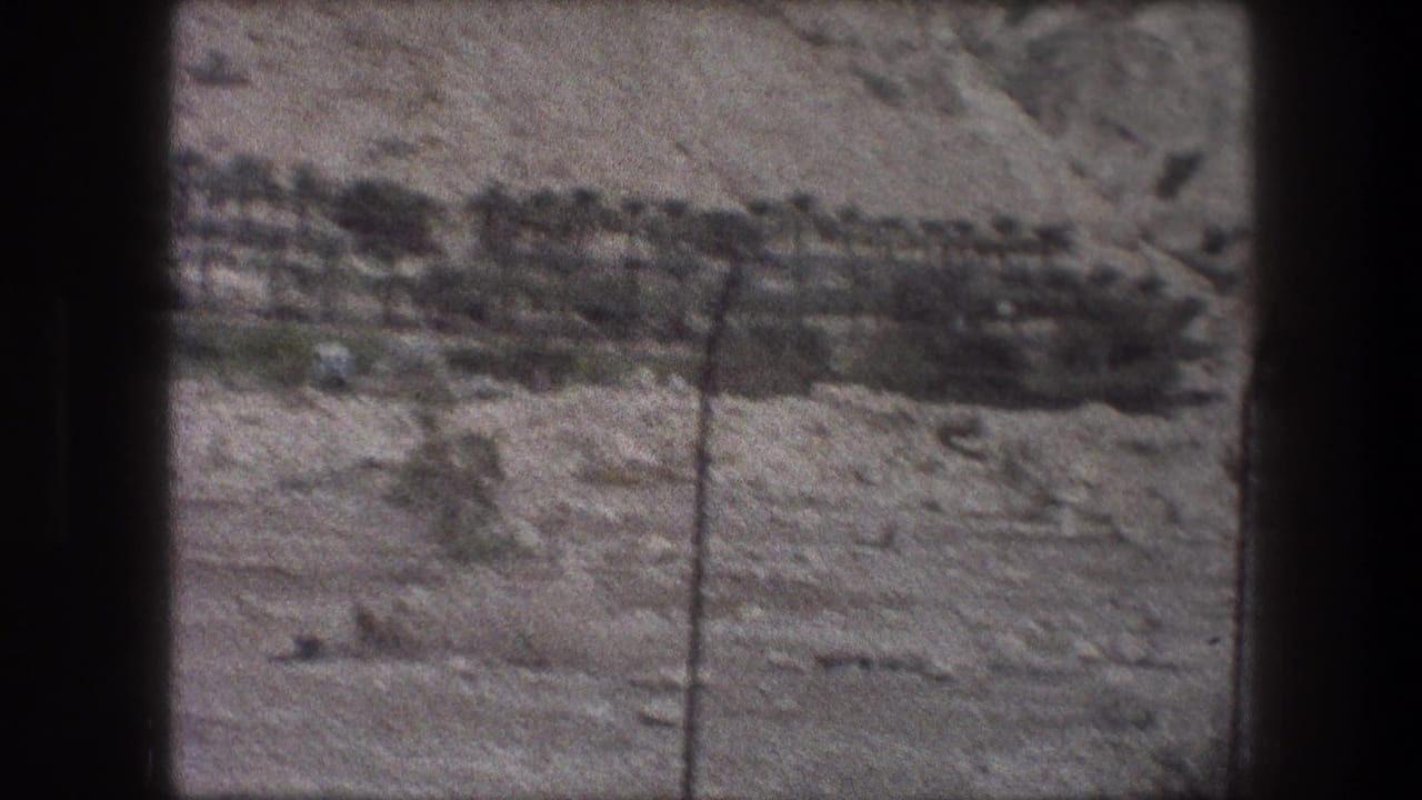 Dry rocky slope with a dark line of trees and a fence post in front.