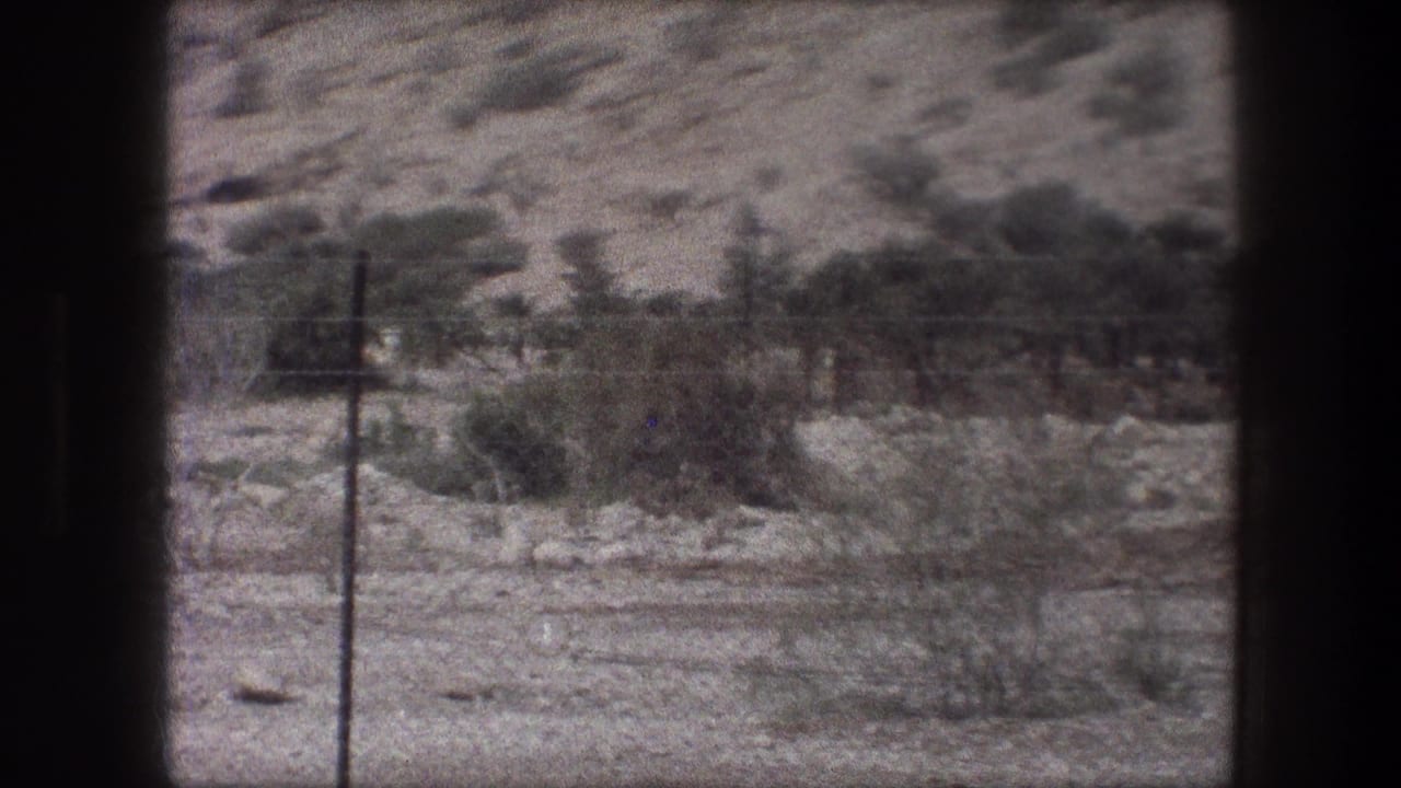 1976 Bethlehem exterior view of scrub, stones, fencing, and utility-like posts seen from behind a dark window edge.