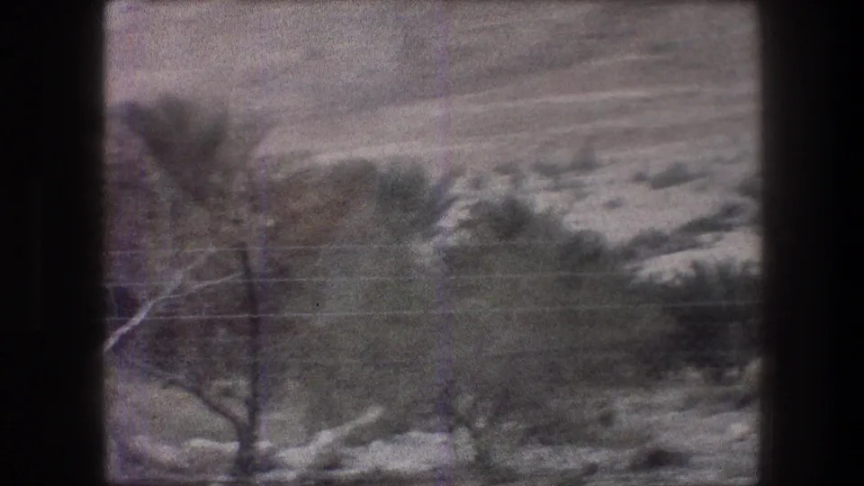1976 Bethlehem home-movie view of wire fencing, sparse vegetation, rocky ground, and a pale road or open strip beyond it.