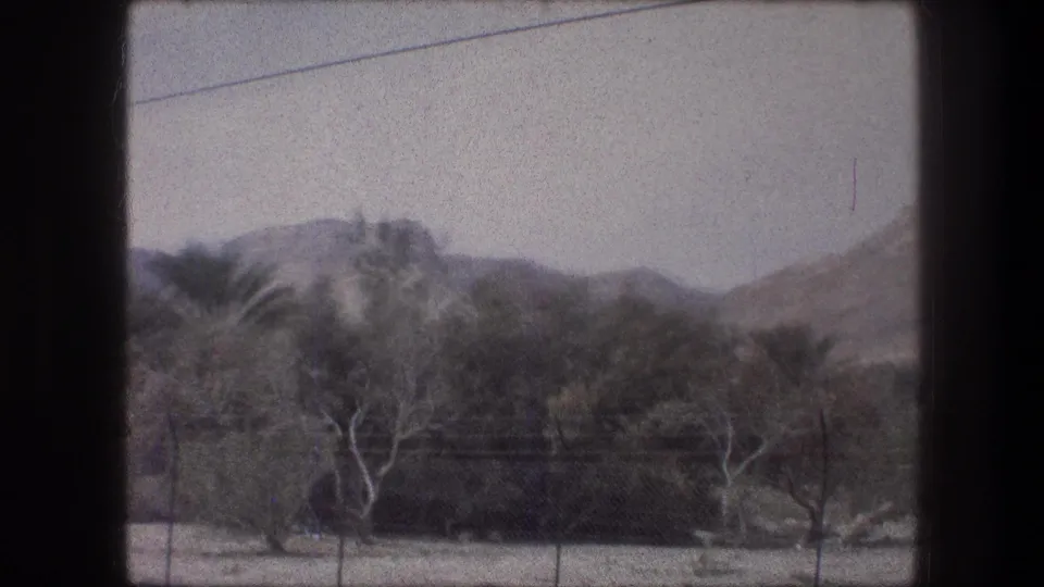 Late clip frame from 1976 Bethlehem-area footage, showing sparse trees, palms, low tan hills, and a pale clear sky.