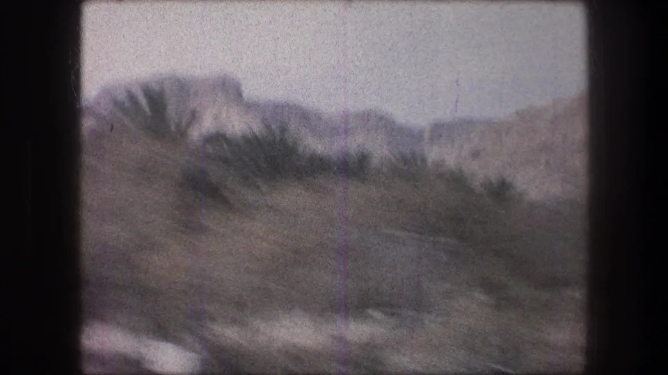 Moving 8mm view near Bethlehem with palm fronds, dry hills, and soft motion blur from the road.