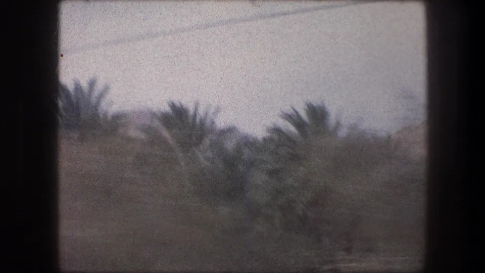 Soft 8mm frame from Bethlehem, Israel in 1976 showing blurred palm trees, brush, and faint power lines during vehicle travel.