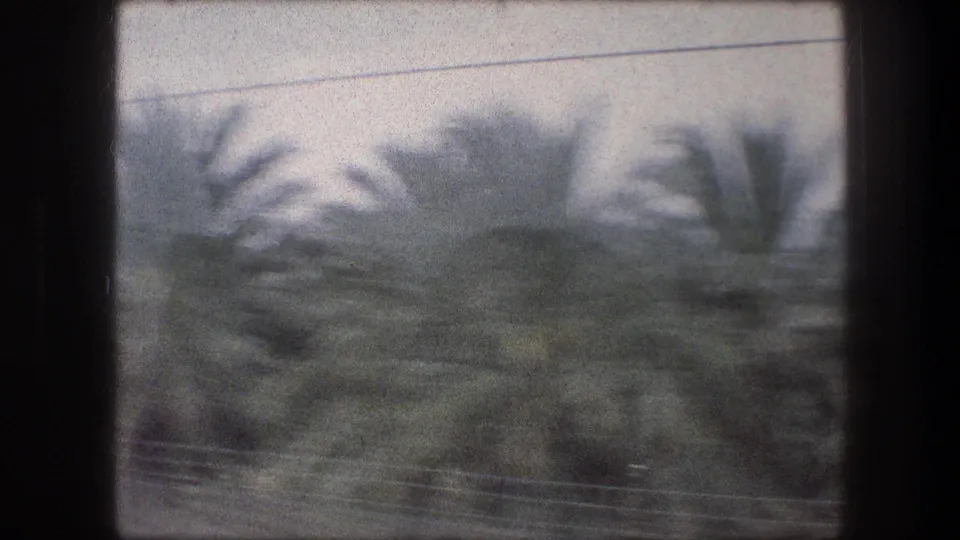 1976 8mm travel frame from Bethlehem with a palm grove, muted sky, roadside blur, and power lines crossing the scene.