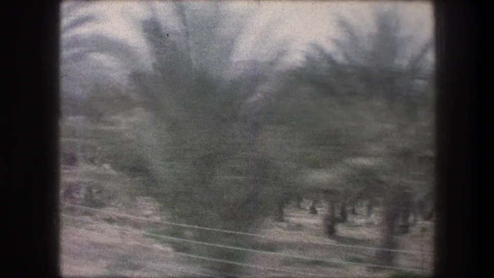 1976 Bethlehem 8mm frame showing palm trees, a road edge, and overhead lines through faded color and vehicle-motion blur.