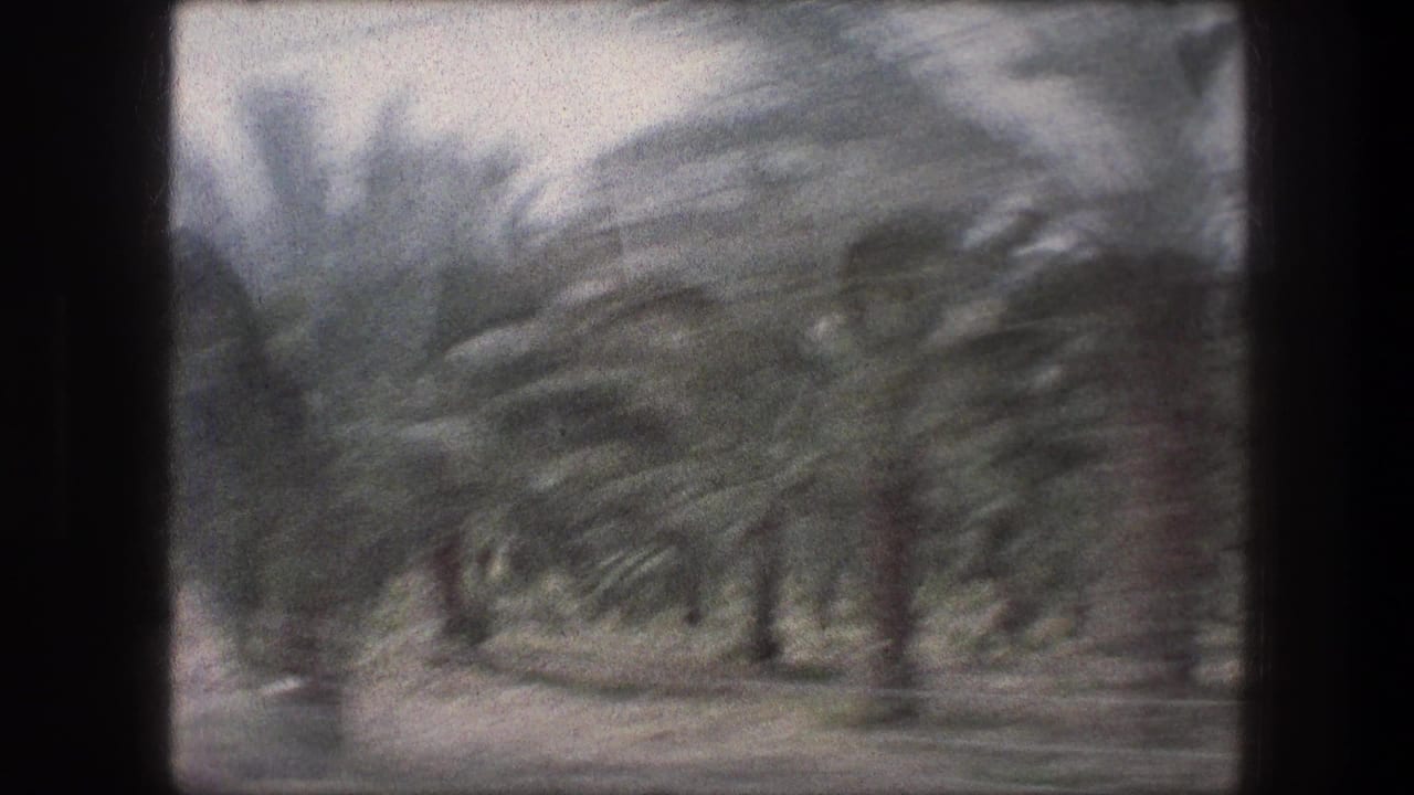 Motion-blurred palm trees beside a road with pale hills in the distance.