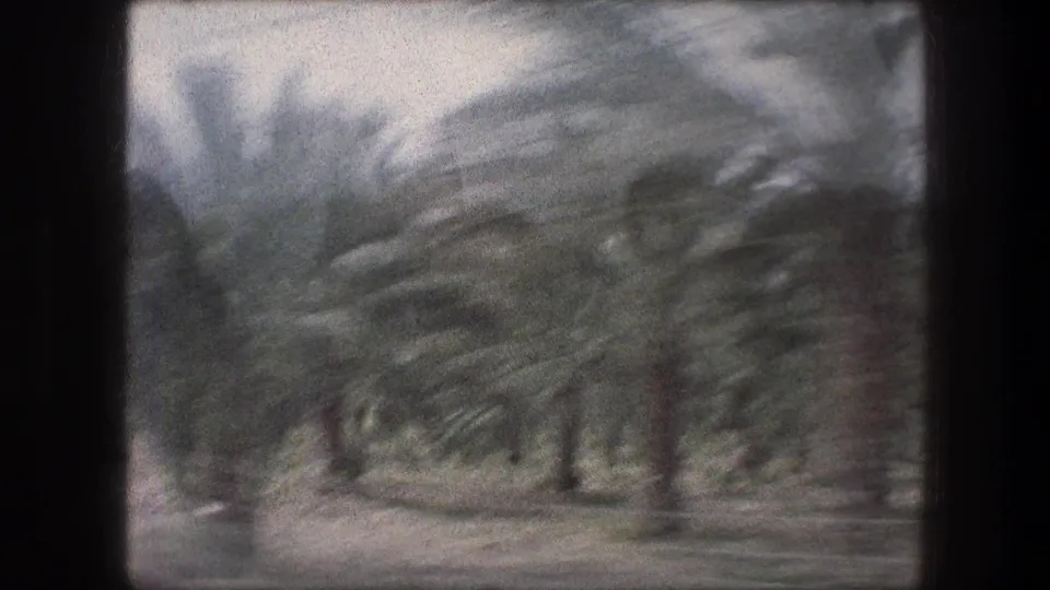 1976 8mm view from a moving vehicle in Bethlehem, showing blurred roadside palm trees and distant hills.