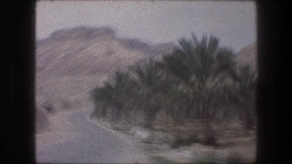 1976 Bethlehem roadside view showing an empty road edge, dense palms, and rugged hills in the background.