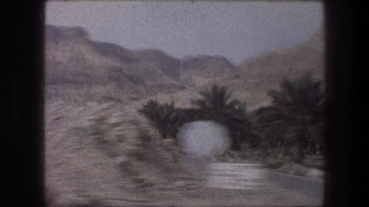 Roadside palms and arid hills seen through a soft, grainy 8mm frame.