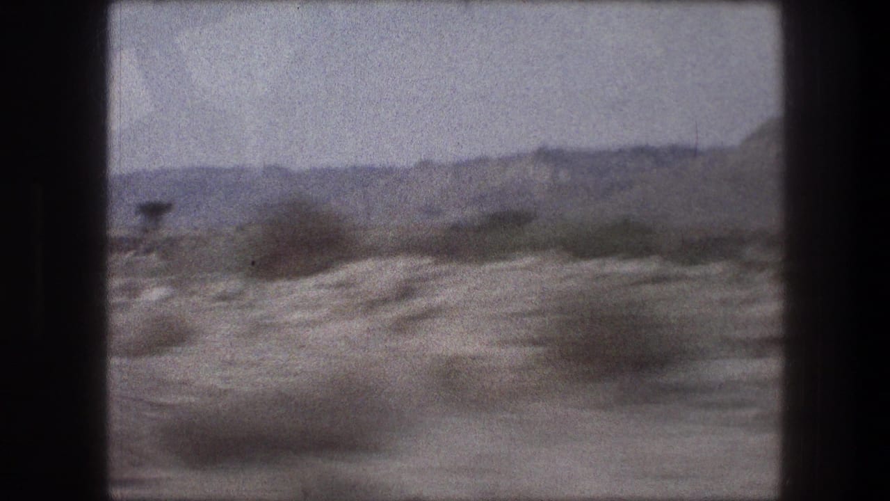 Blurred shrubs and pale desert ground with a mountain ridge beyond.