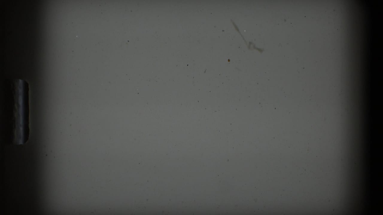Soft, under-detailed 8mm frame from the clip with dark gate edges and a pale blank area, likely between clearer street views.