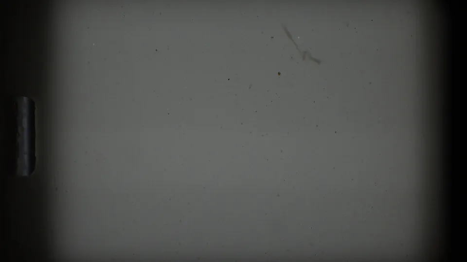 Soft, under-detailed 8mm frame from the clip with dark gate edges and a pale blank area, likely between clearer street views.
