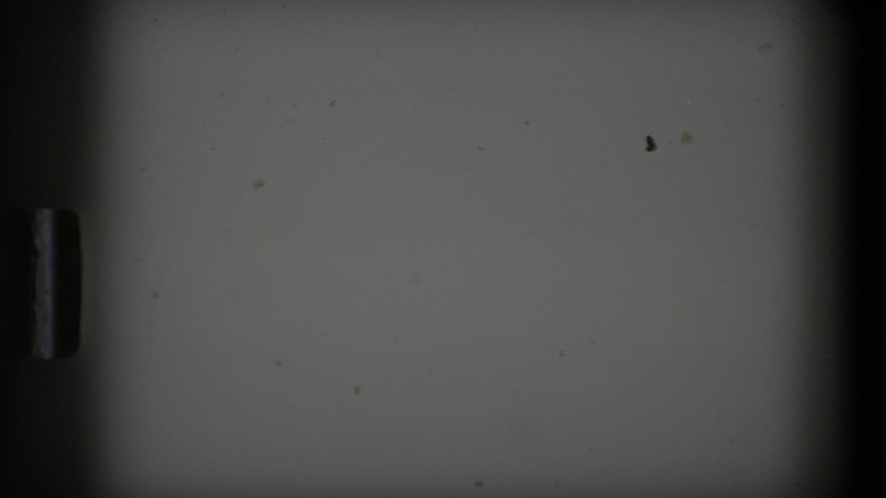 Dark-edged 8mm frame with a pale blank area and a small dark vertical shape.