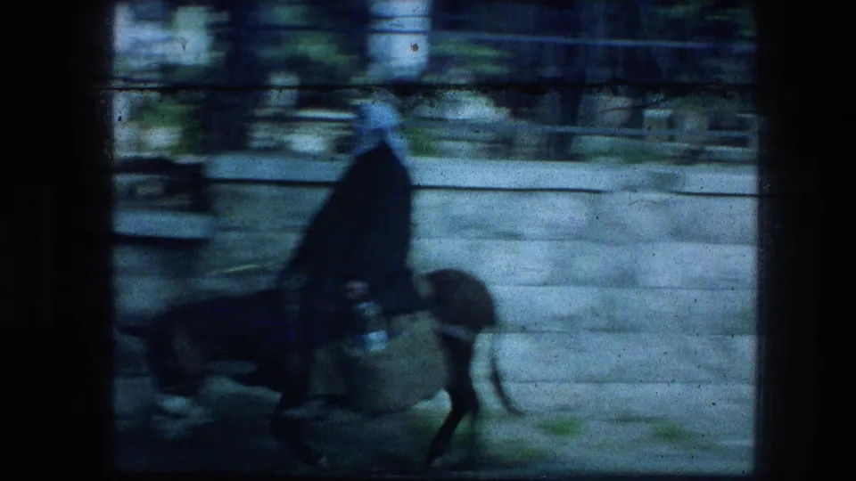 1976 Jerusalem home-movie frame showing a distant walking figure and horse near a stone wall, with heavy 8mm blur and blue cast.