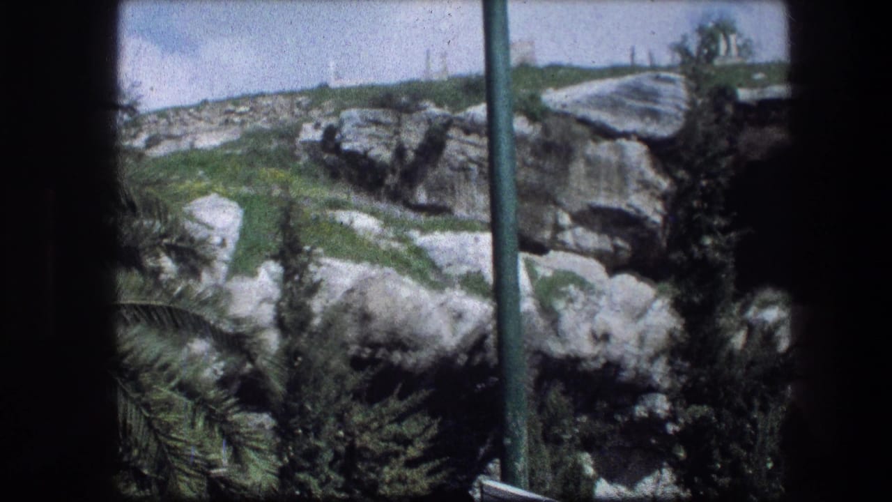 Rocky garden slope with cave-like openings and a vertical pole in front.