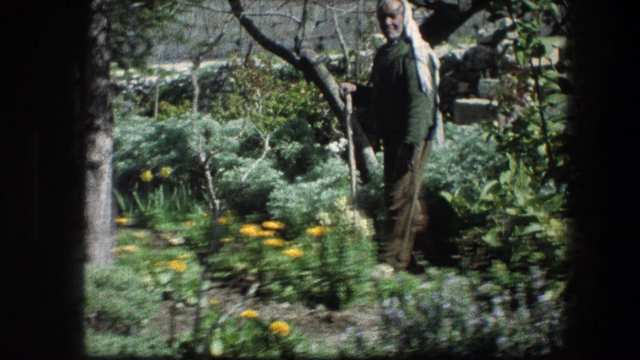 Man holding a walking stick beside yellow flowers and dense garden foliage.