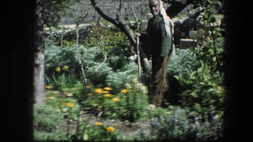 Garden Tomb visitor scene in Jerusalem, with an adult man holding a stick among yellow flowers and shrubs.