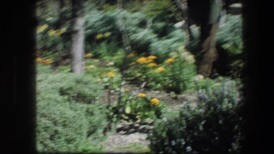 Soft 8mm frame from the Garden Tomb grounds, showing blurred foliage, yellow flowers and a partly visible visitor with a stick.