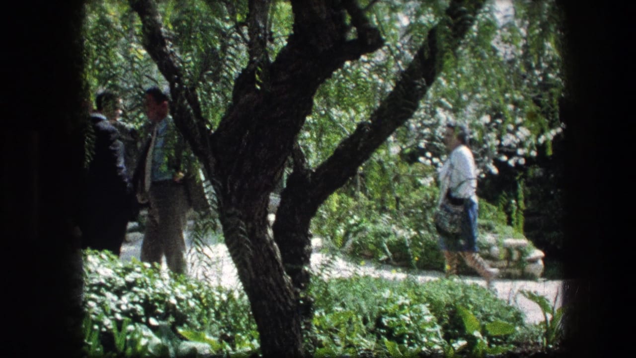 Adults in formal clothing walk through a shaded garden path among trees and dense greenery.