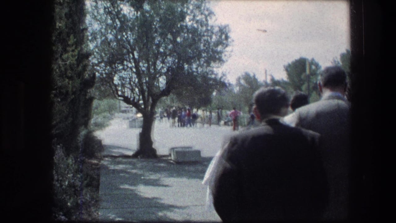 Visitors seen from behind walking along a shaded garden path with trees and distant people ahead.