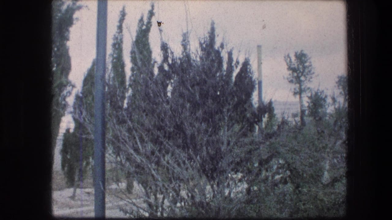 The camera looks across shrubs, paths, poles, and tall trees in the Garden Tomb area of Jerusalem, with a distant structure partly visible.