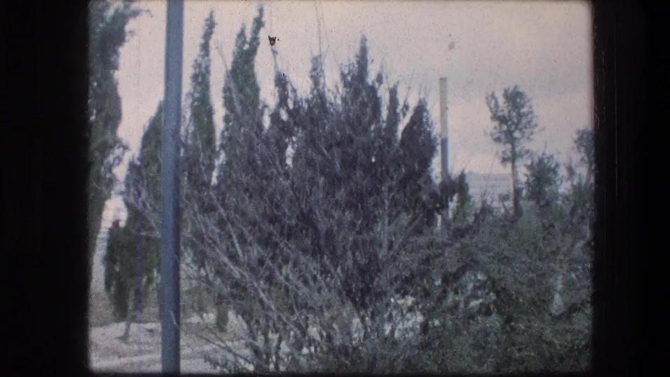 The camera looks across shrubs, paths, poles, and tall trees in the Garden Tomb area of Jerusalem, with a distant structure partly visible.