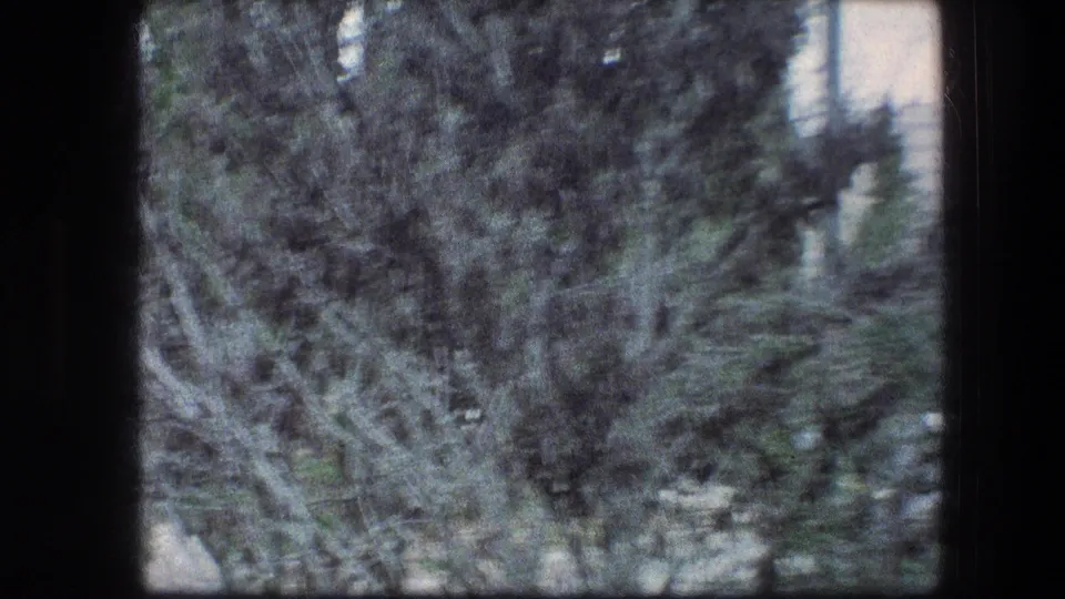 The final frame holds a soft handheld view of trees, shrubs, and garden undergrowth, with dark 8mm film borders around the scene.