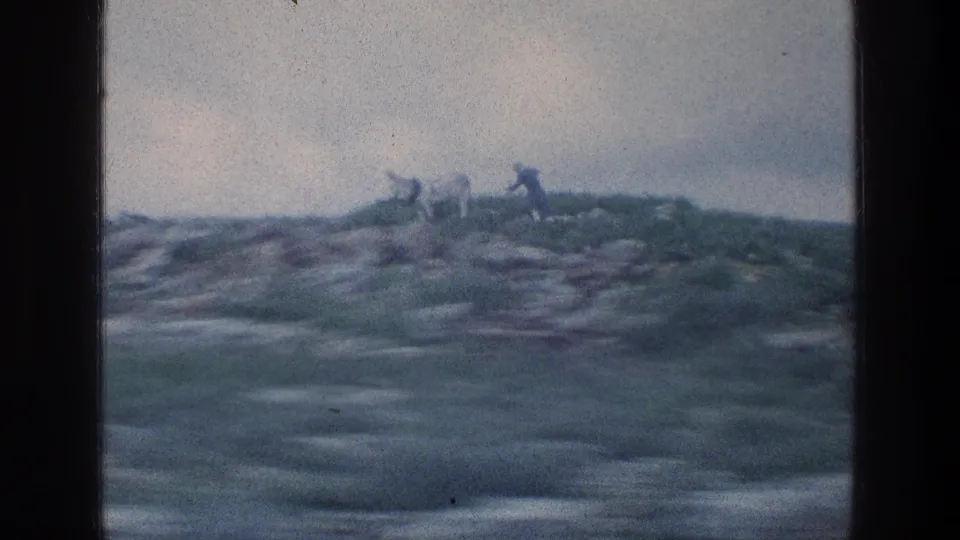Grainy 8mm frame of rugged rocky ground and low terrain, filmed during a 1976 travel sequence in Israel.