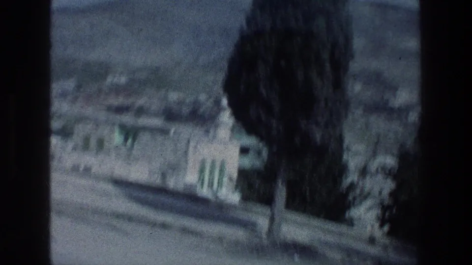 Roadside stone wall and tree in Israel, with a small standing figure near the wall in the 1976 home-movie frame.