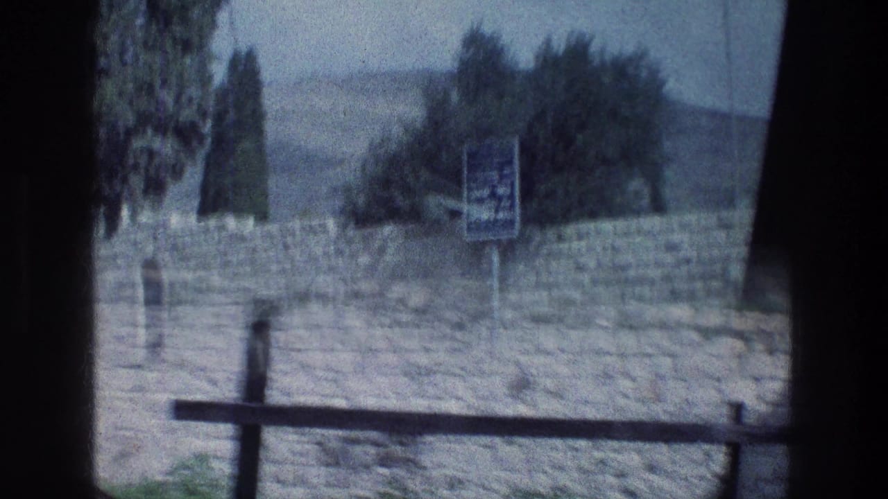 Stone wall and sign seen through dark window bars with trees behind.