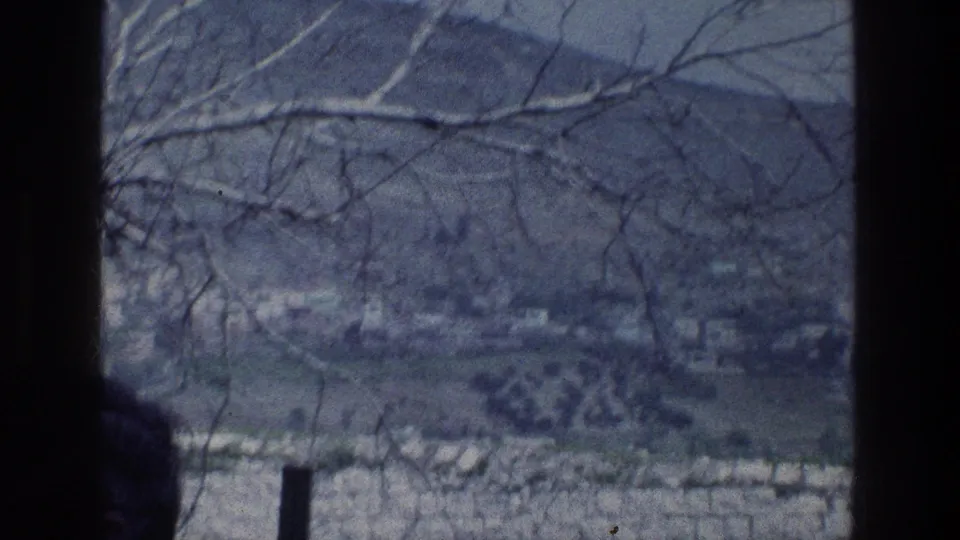 1976 Israel home-movie frame looking past branches and a stone wall toward a hilly area with distant buildings.