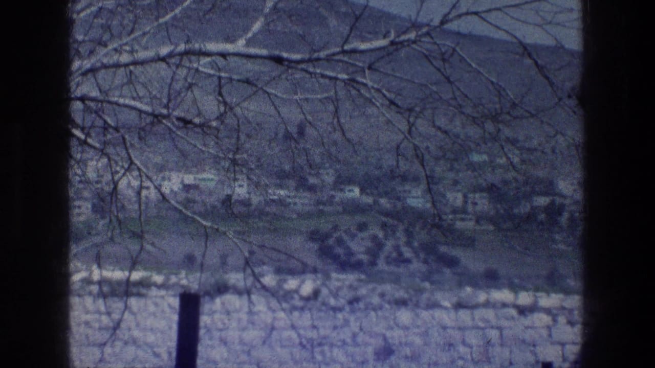 A distant blue mountain landscape appears through leafless branches, with a pale stone wall in the foreground from archival home-movie footage.