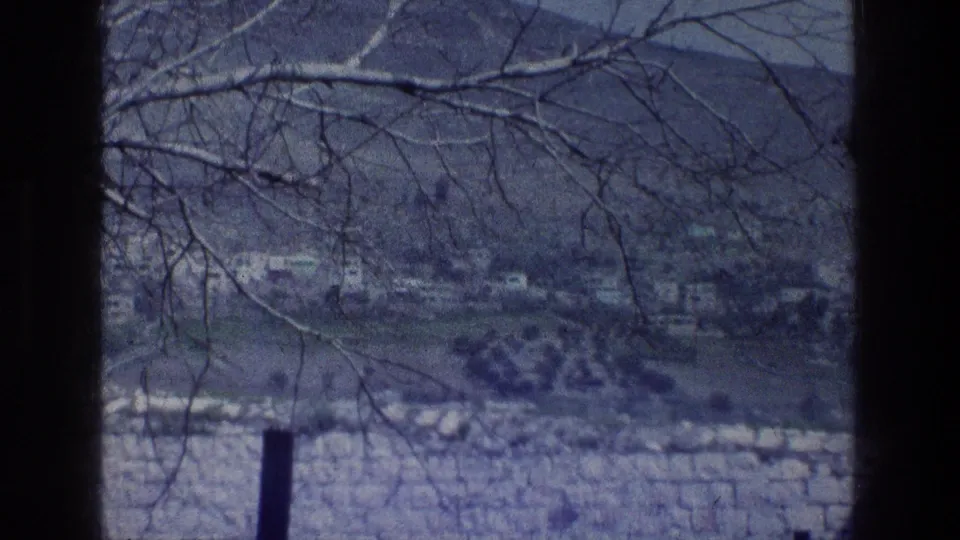 A distant blue mountain landscape appears through leafless branches, with a pale stone wall in the foreground from archival home-movie footage.