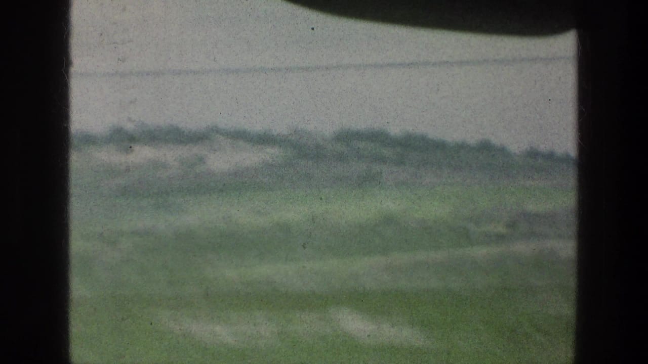 Blurred green fields and distant tree line pass beyond a dark window divider.