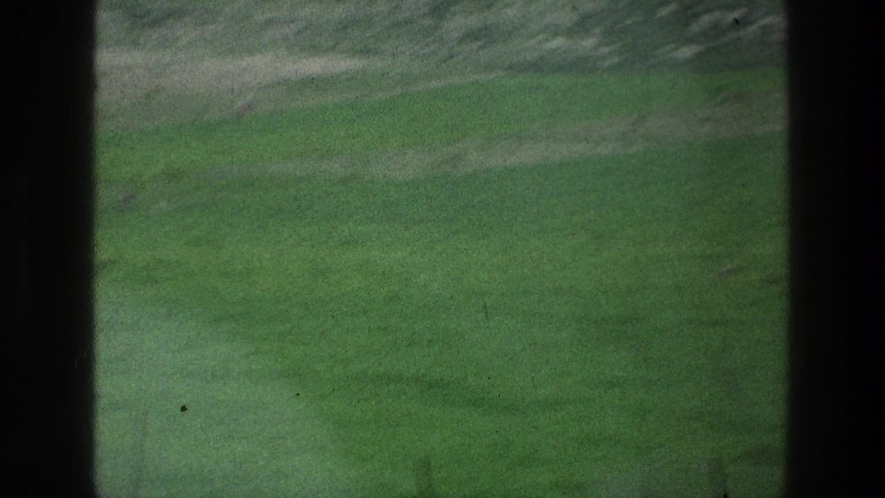 Green lawn seen through dark vertical window or frame edges.