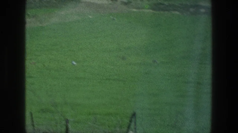 A soft 1976 8mm view of green lawn and faint posts, seen from a shaded or framed vantage point.