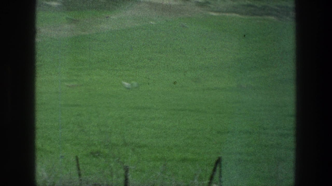 1976 8mm home-movie frame of a green field at the metadata-listed Jacobs Well area, seen through dark vertical edges with distant indistinct shapes.