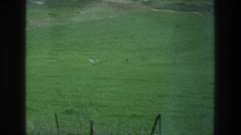 1976 8mm home-movie frame of a green field at the metadata-listed Jacobs Well area, seen through dark vertical edges with distant indistinct shapes.