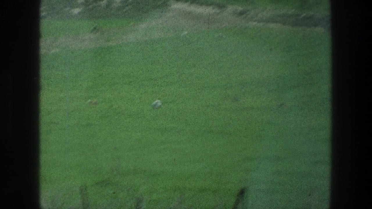 Wide green field with dark frame edges and a small pale object on the grass.