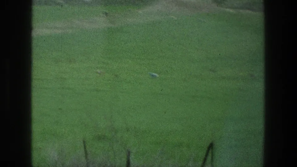 1976 8mm frame of a green field at the metadata-listed Jacobs Well area, with faint distant figures, fence posts, and a pale ball-like object.