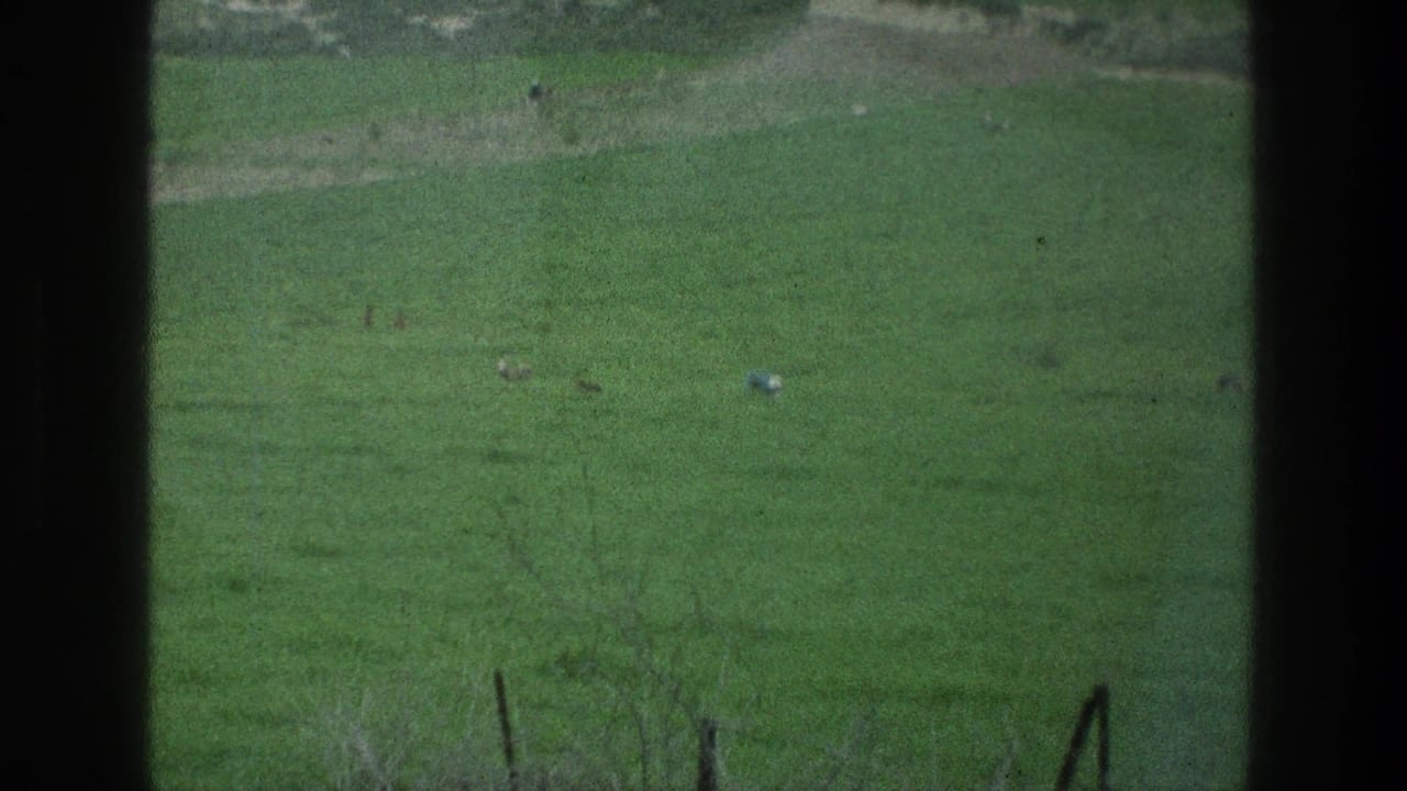 1976 8mm view near Jacobs Well showing a green field, pale dirt areas, and dark vertical window-like bars.