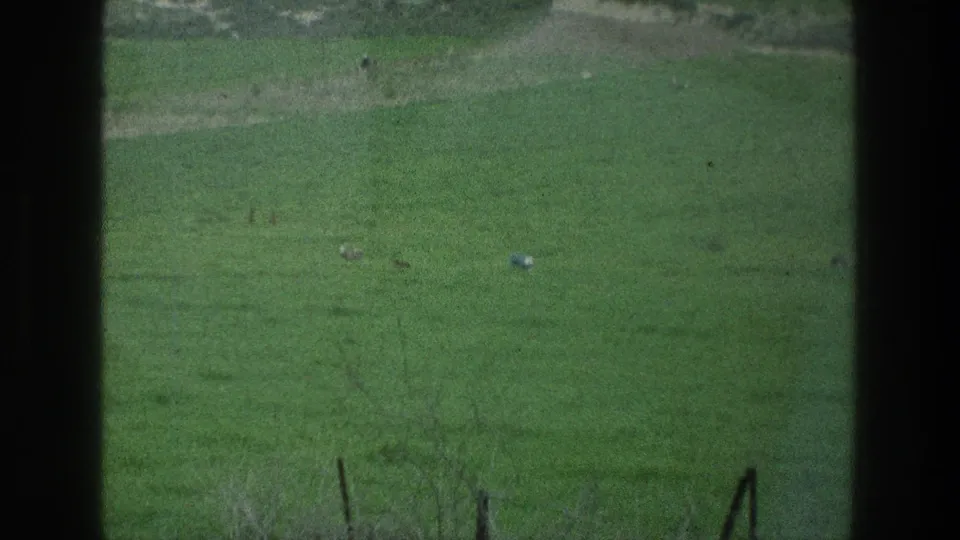 1976 8mm view near Jacobs Well showing a green field, pale dirt areas, and dark vertical window-like bars.