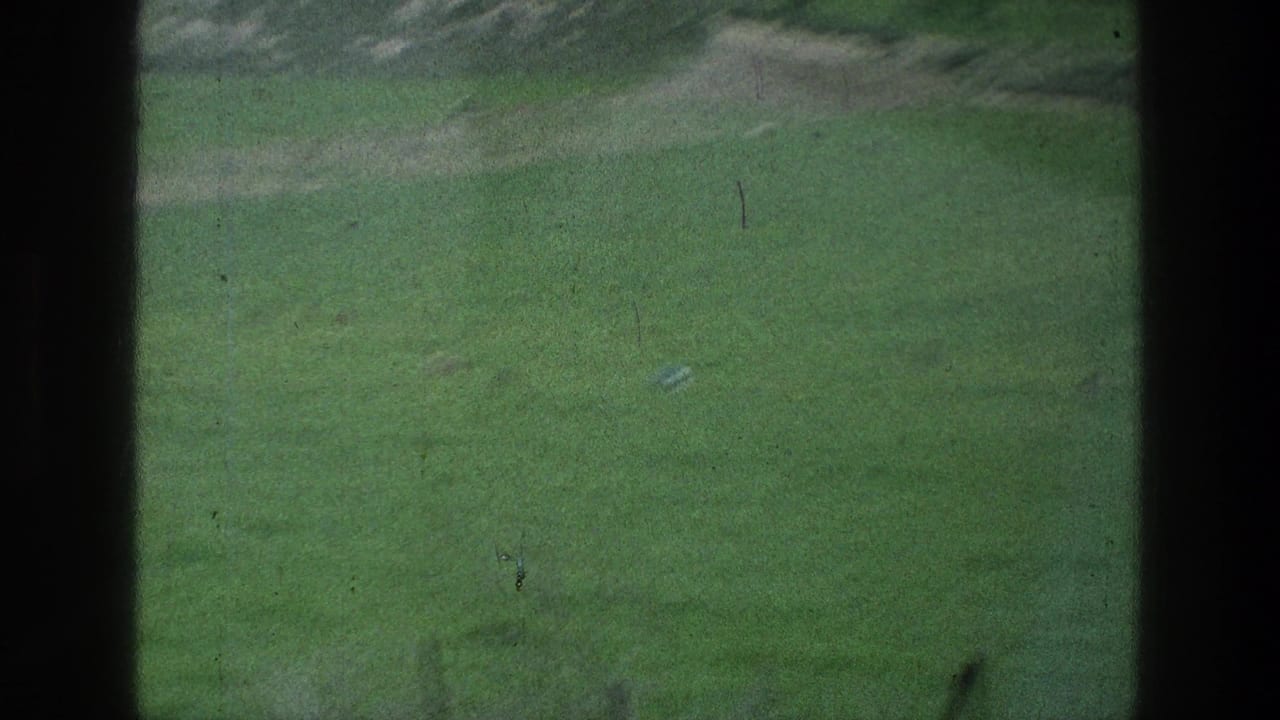 Open green field with dirt areas and dark framing at the edges.