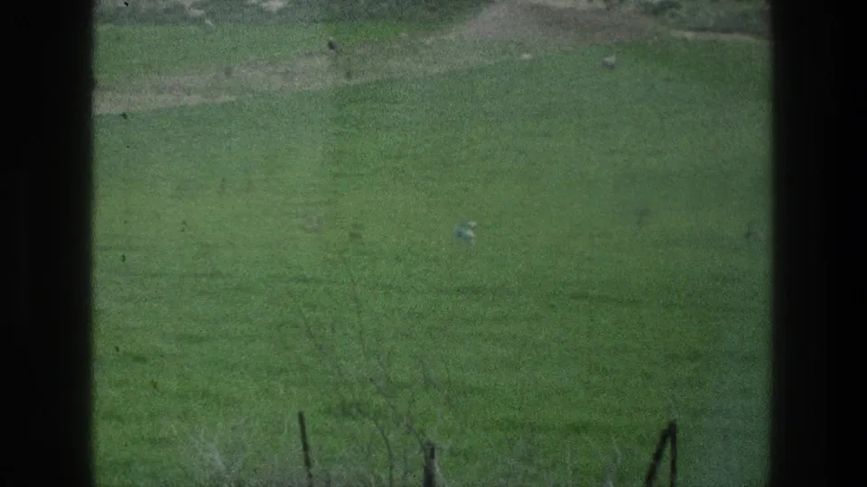 1976 home-movie frame near Jacobs Well showing grassland, sparse foreground brush, posts, and distant small animals or birds.