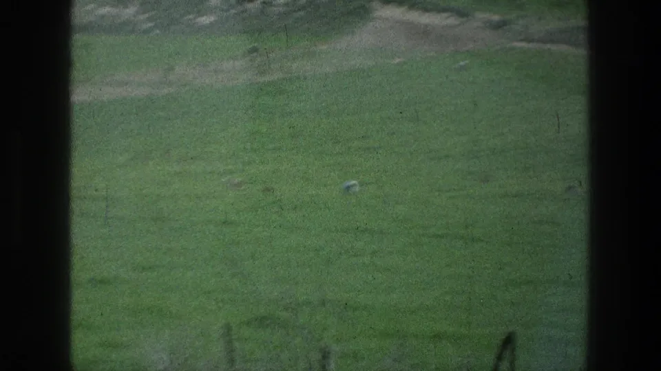 Soft 8mm landscape near Jacobs Well with green grass, pale soil, tiny distant animals or birds, and heavy dark edge framing.