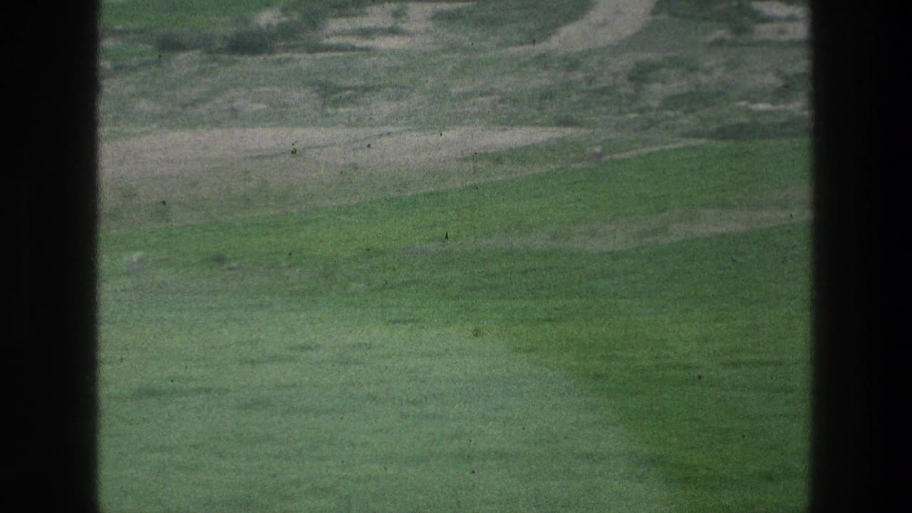 Green field and pale tracks seen through dark vertical frame edges.