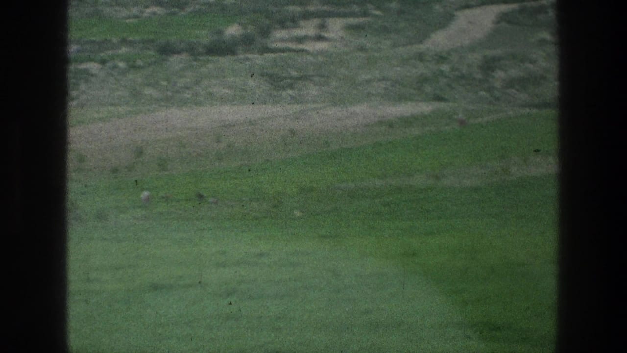 Wide green field with pale paths and dark center frame obstruction.