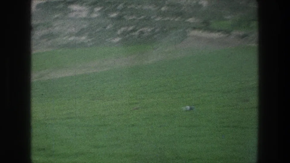 A small white animal or pale object appears on the right side of a green field in 1976 8mm footage from the described Jerusalem area.