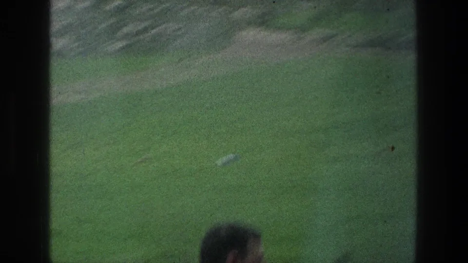 A soft 8mm frame shows the field through dark borders, with a partial human head or figure entering along the lower edge.