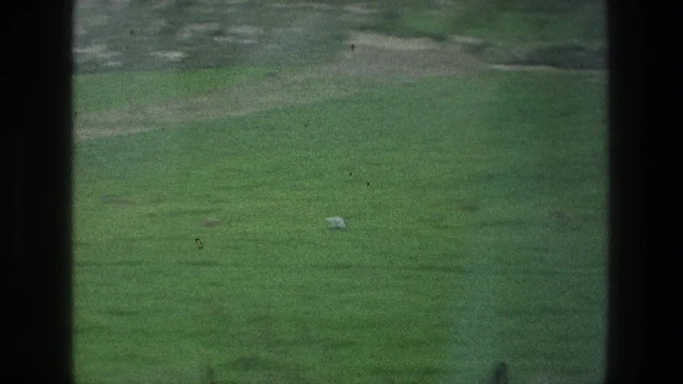 The final frame shows a green field near the described Jacobs Well area, with a small pale animal or object near the lower right.
